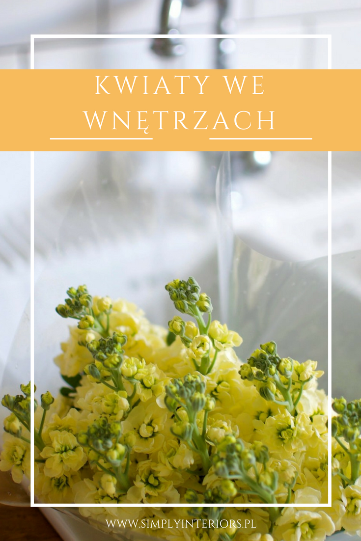 kwiaty we wnetrzach